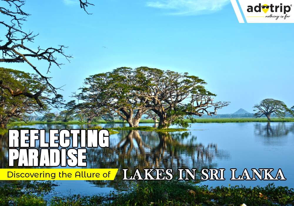 Lakes in Sri Lanka